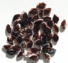 50 12mm Opaque White & Dark Brown Glass Leaf Beads